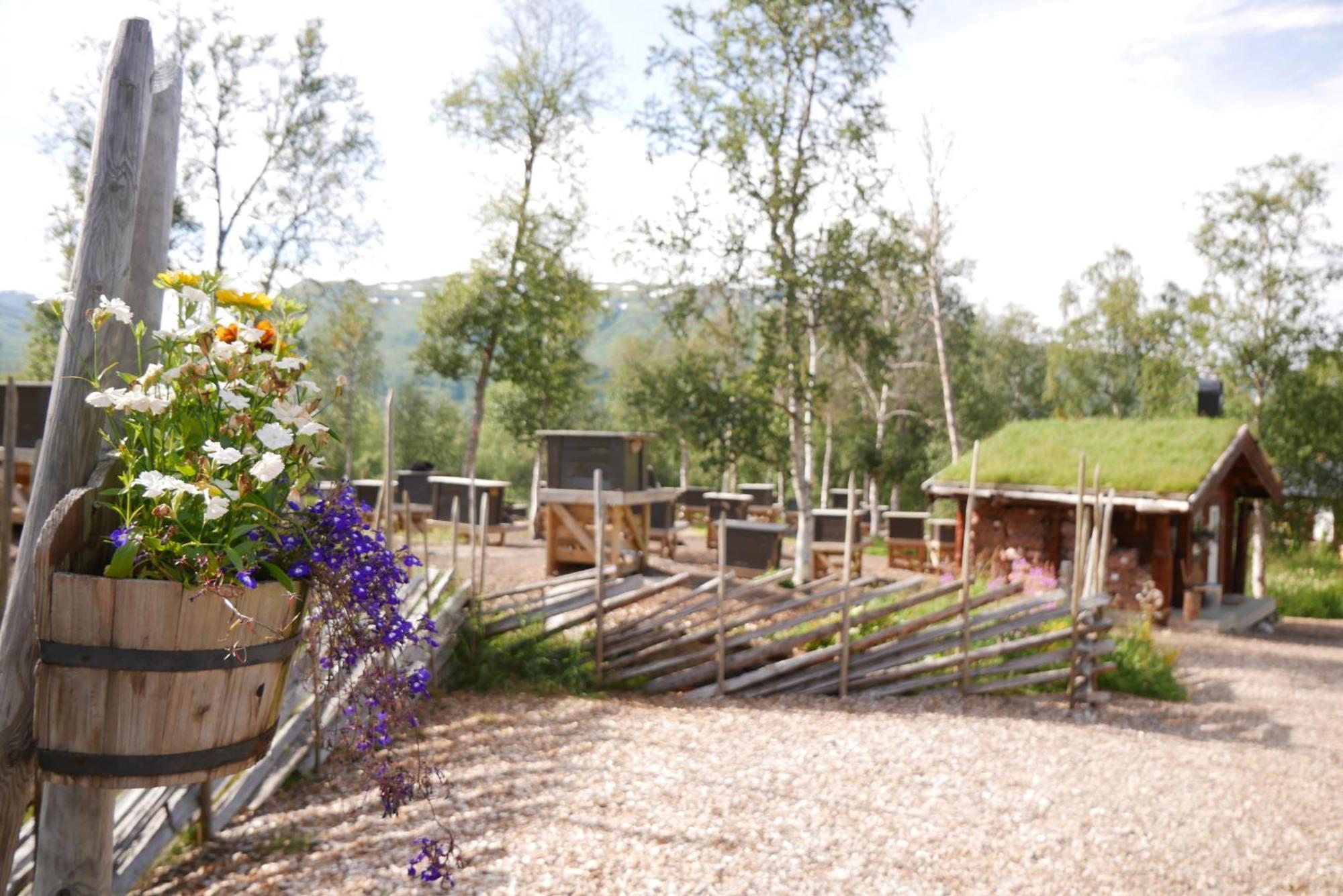 Bardu Huskylodge Екстер'єр фото