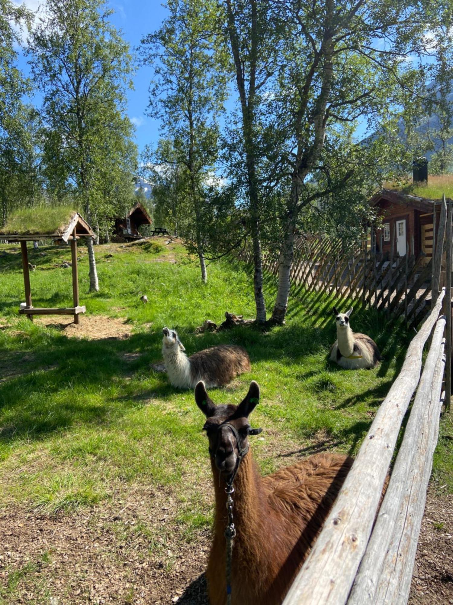Bardu Huskylodge Екстер'єр фото