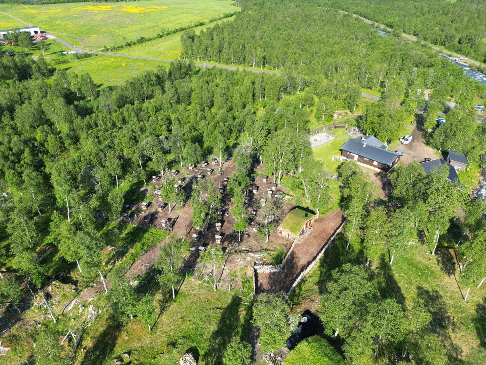 Bardu Huskylodge Екстер'єр фото