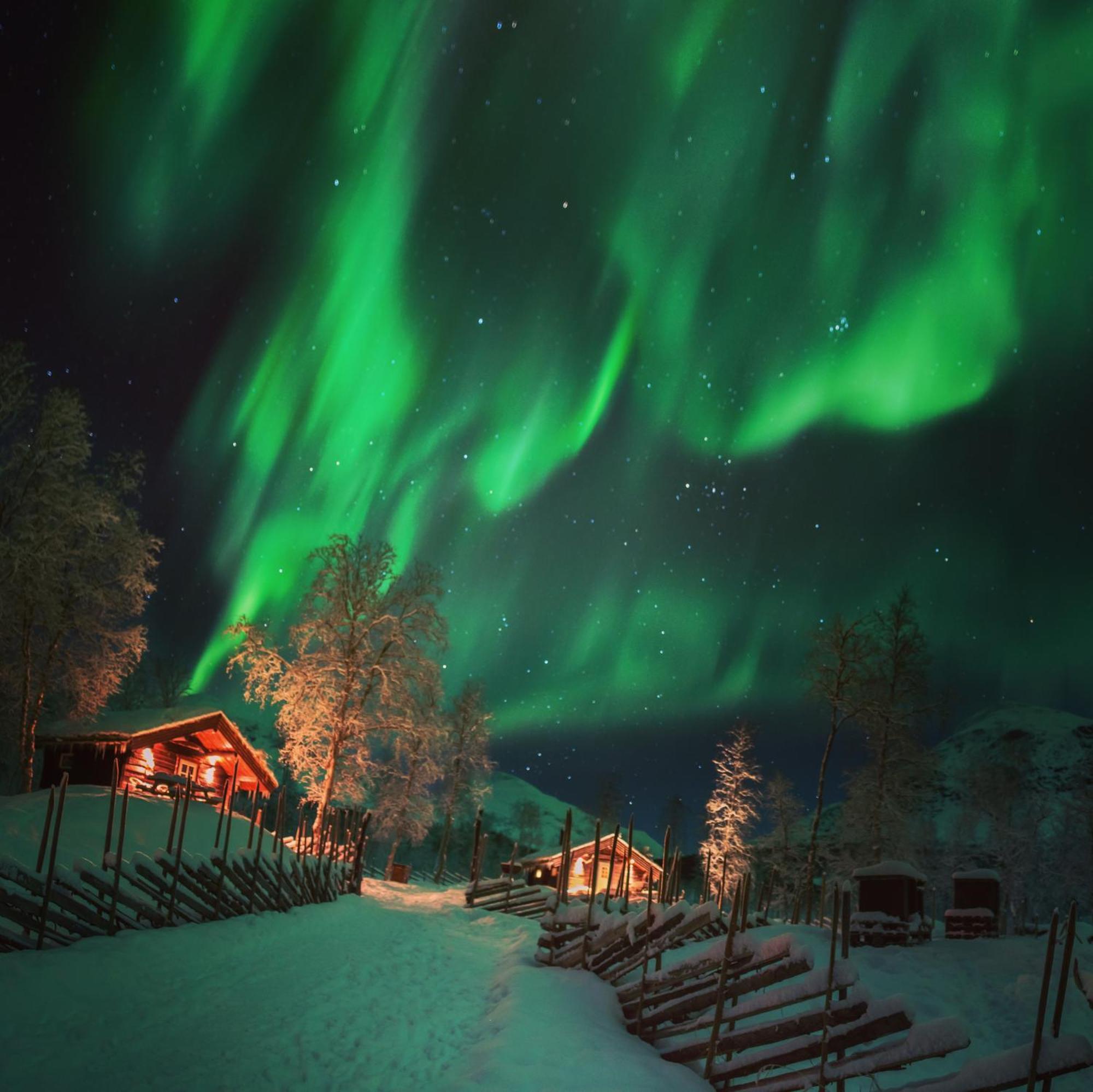 Bardu Huskylodge Екстер'єр фото