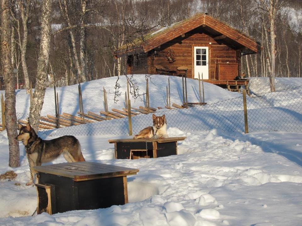 Bardu Huskylodge Екстер'єр фото