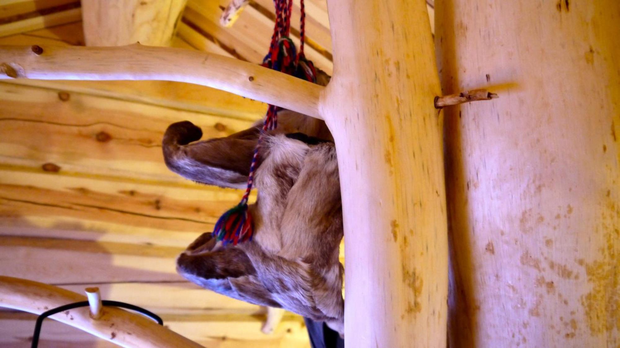 Bardu Huskylodge Екстер'єр фото